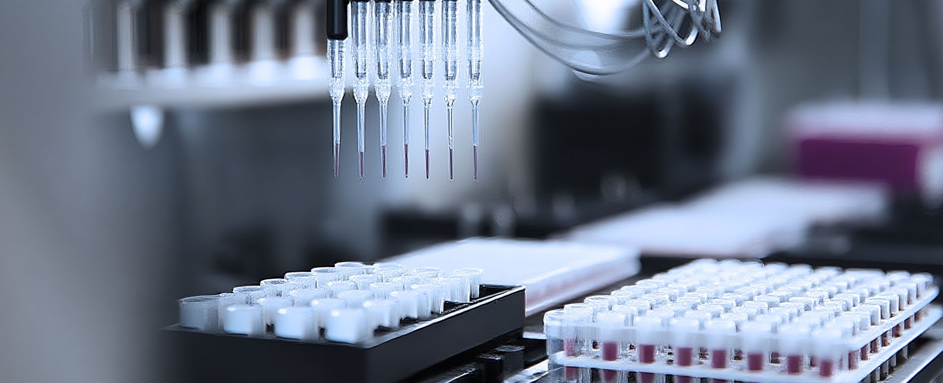 引航生物科研与创新 引航生物科研与创新