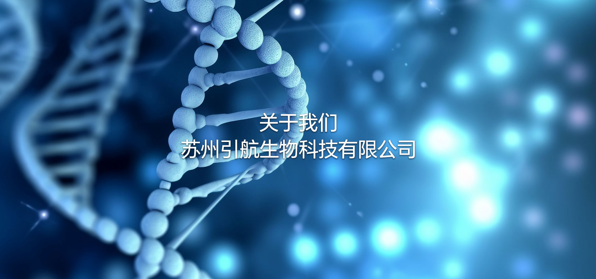 引航生物乘风破浪 扬帆起航