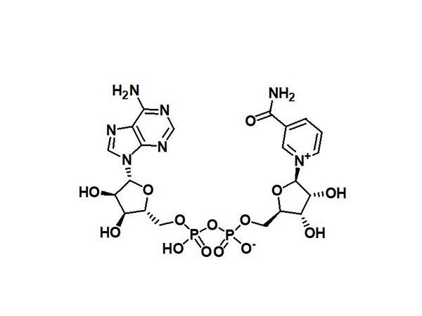 β-烟酰胺腺嘌呤双核苷酸