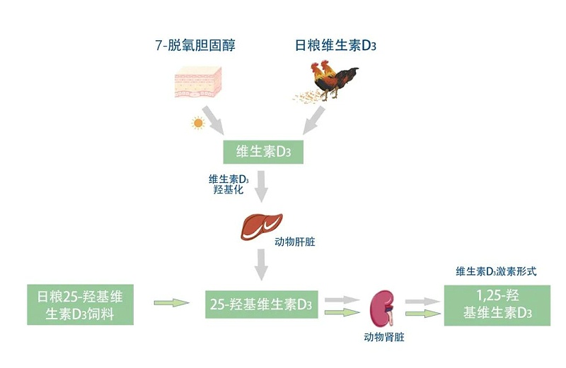 微信图片_20220413132035